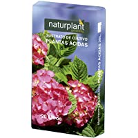 NATURPLANT Sustrato para Planta Ácidas o Acidófilas- Azalea- Camelia- Hortensia- Erica- Rododendros- PH Entre 5 y 6